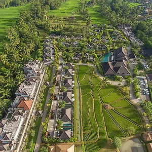 https://resort-visesa-ubud.hotelubudbali.com